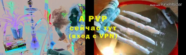 спайс Баксан