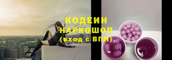 дмт Рославль