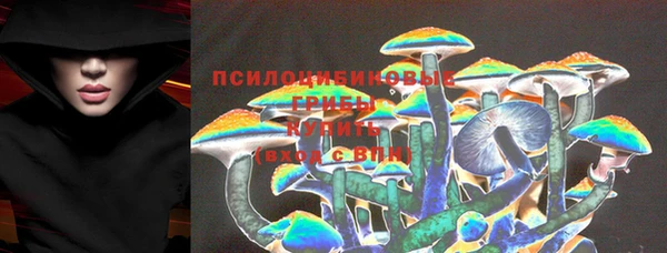 спайс Баксан